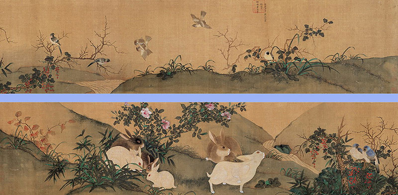 Imperial Pro of Huang Quan Bird